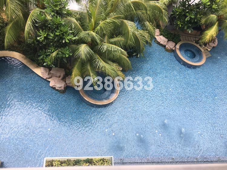 Waterfront Key (D16), Condominium #139088042